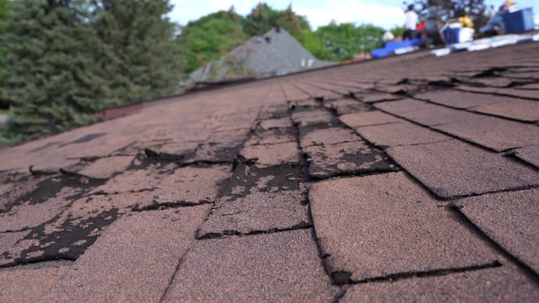 Best Roof Waterproofing  in Kualapuu, HI