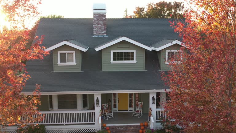 Best Sheet Metal Roofing  in Kualapuu, HI