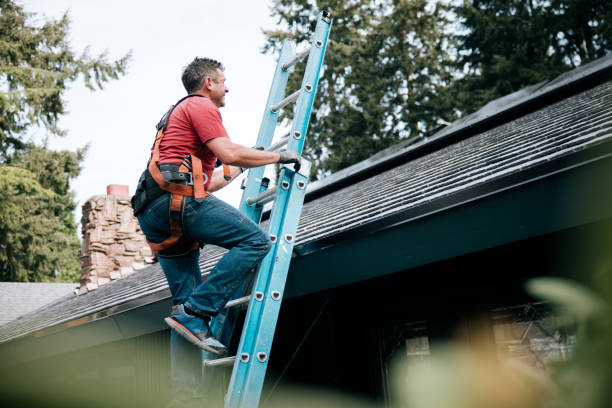Best Solar Panel Roofing Installation  in Kualapuu, HI