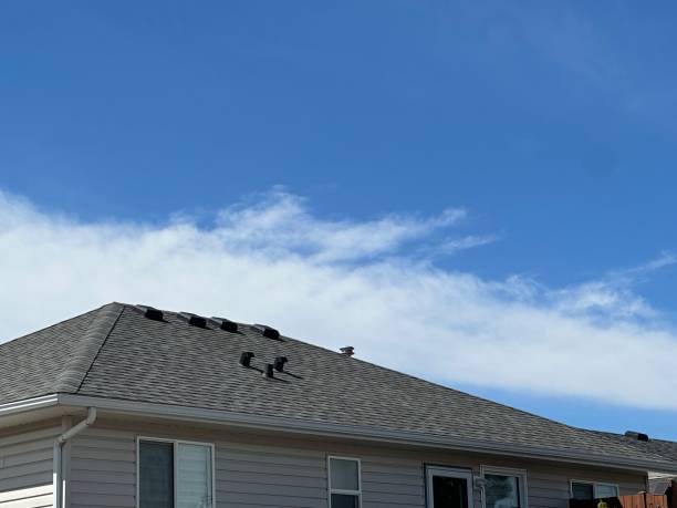 Best Roof Replacement  in Kualapuu, HI